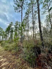 3700 Block Hwy 168, Century, FL 32535