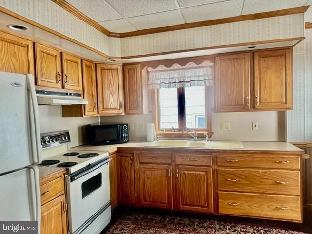 222 S SCHUYLKILL AVE, Shenandoah, PA 17976