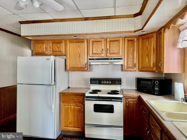 222 S SCHUYLKILL AVE, Shenandoah, PA 17976