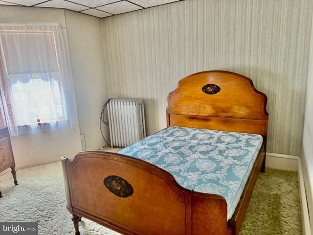 222 S SCHUYLKILL AVE, Shenandoah, PA 17976