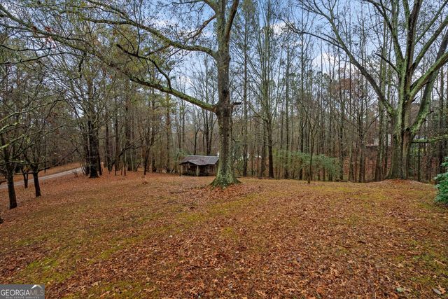 101 3rd Avenue, Buchanan, GA 30113