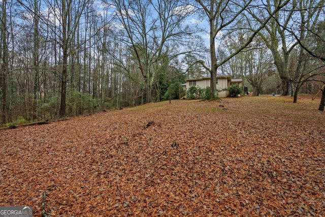 101 3rd Avenue, Buchanan, GA 30113