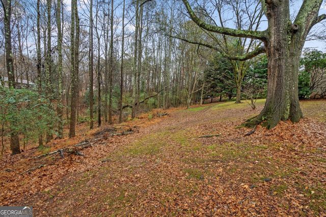 101 3rd Avenue, Buchanan, GA 30113