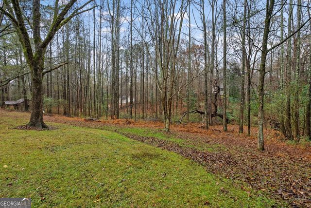 101 3rd Avenue, Buchanan, GA 30113