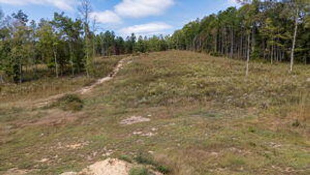 521 Horns Creek Road, Old Fort, TN 37362