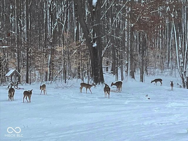 459 W Gold Creek Road, Mooresville, IN 46158