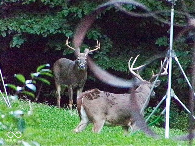 459 W Gold Creek Road, Mooresville, IN 46158