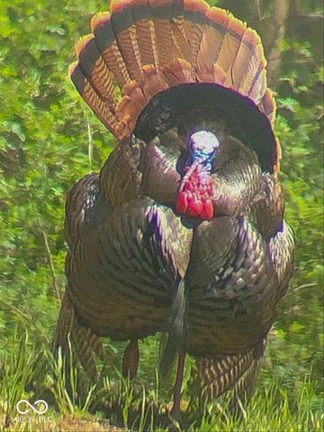 459 W Gold Creek Road, Mooresville, IN 46158