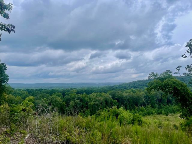 00 White Oak Road Lot 2, Summerville, GA 30747