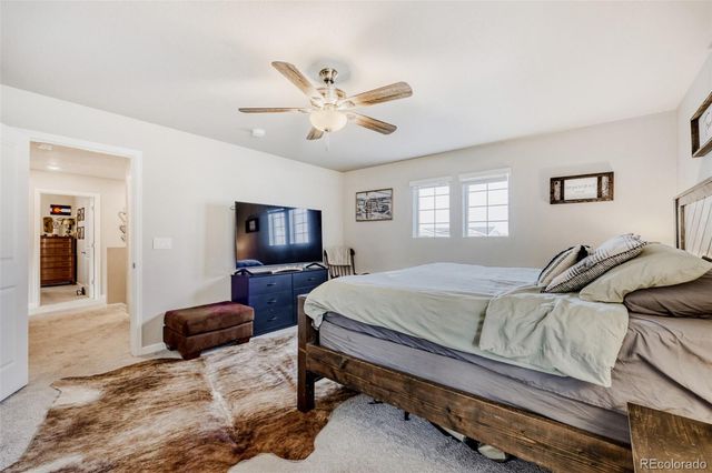 5193 Blue Lunar Lane, Castle Rock, CO 80104