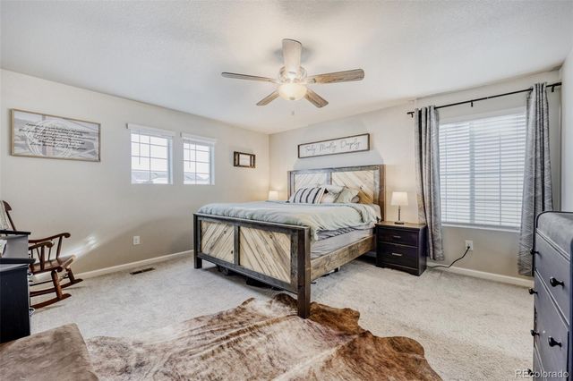 5193 Blue Lunar Lane, Castle Rock, CO 80104