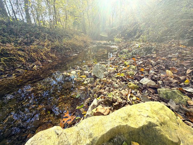 813 Bailey Road, Pineville, MO 64856