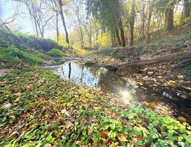 813 Bailey Road, Pineville, MO 64856