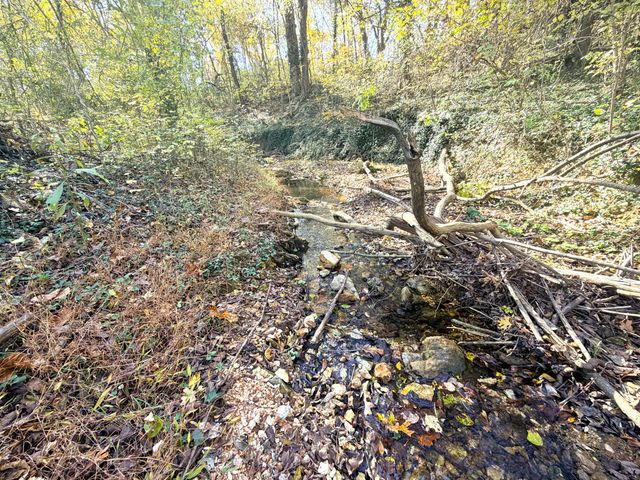 813 Bailey Road, Pineville, MO 64856