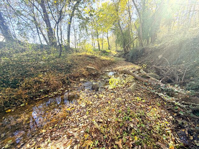 813 Bailey Road, Pineville, MO 64856