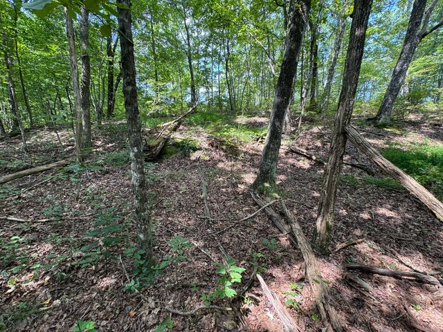 0 Box House Rd, Belvidere, TN 37306