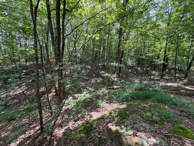 0 Box House Rd, Belvidere, TN 37306