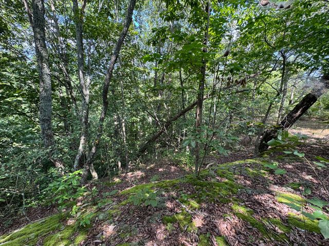 0 Box House Rd, Belvidere, TN 37306