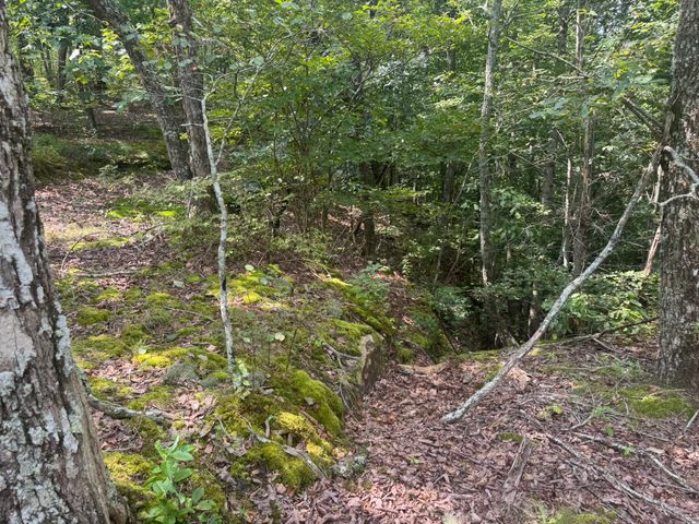 0 Box House Rd, Belvidere, TN 37306