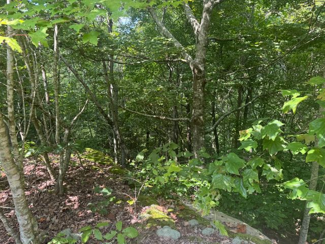 0 Box House Rd, Belvidere, TN 37306