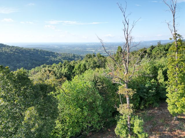 0 Box House Rd, Belvidere, TN 37306