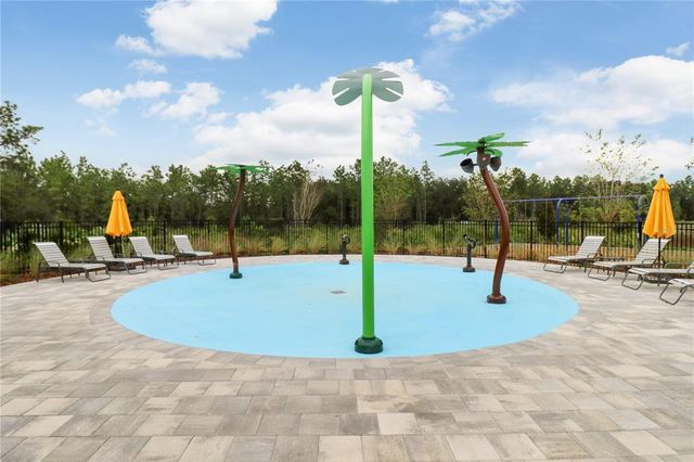 32978 TULIP PETAL LANE, Wesley Chapel, FL 33545