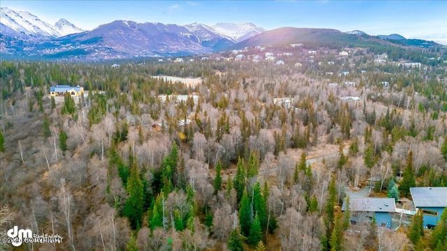 L4 Blair View Circle, Anchorage, AK 99516
