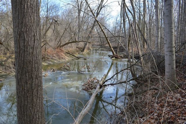 1606 Mooreville Road, Milan, MI 48160