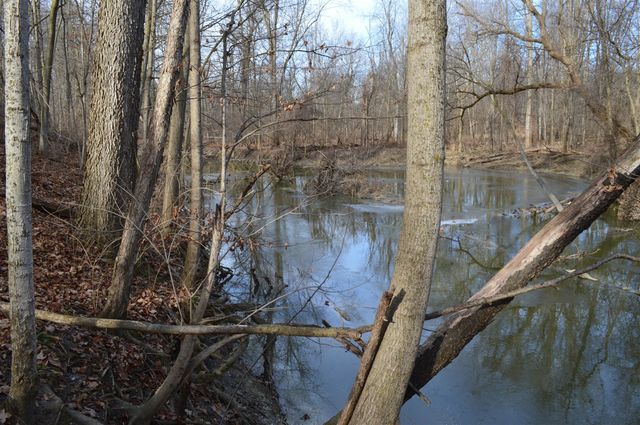 1606 Mooreville Road, Milan, MI 48160