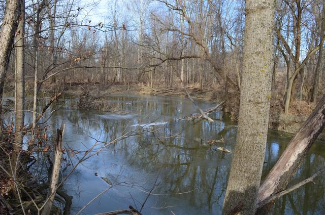 1606 Mooreville Road, Milan, MI 48160