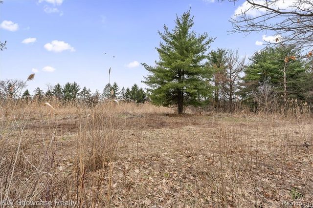 00 Hitchcock Road, White Lake, MI 48383