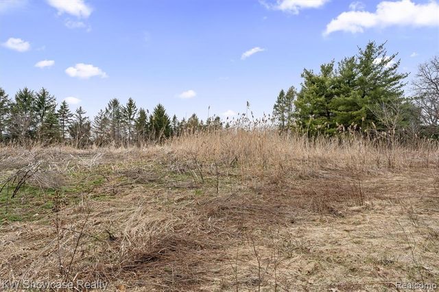 00 Hitchcock Road, White Lake, MI 48383