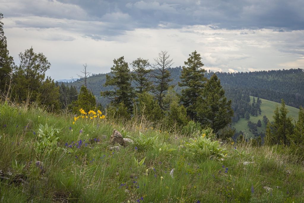10 & 11 Bull Elk, Drummond, MT 59832 photo 1