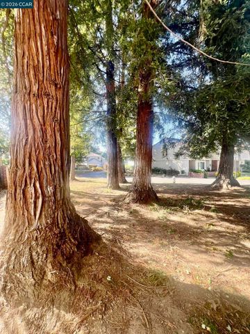 1815 Wildbrook Ct C, Concord, CA 94521