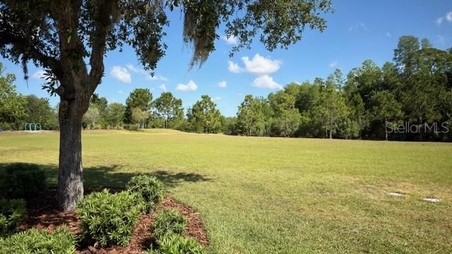4129 BEESWAX LANE, Land O Lakes, FL 34638