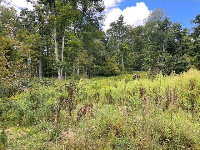 123 Apple tree Lane, Afton, NY 13730