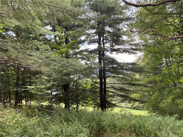 123 Apple tree Lane, Afton, NY 13730