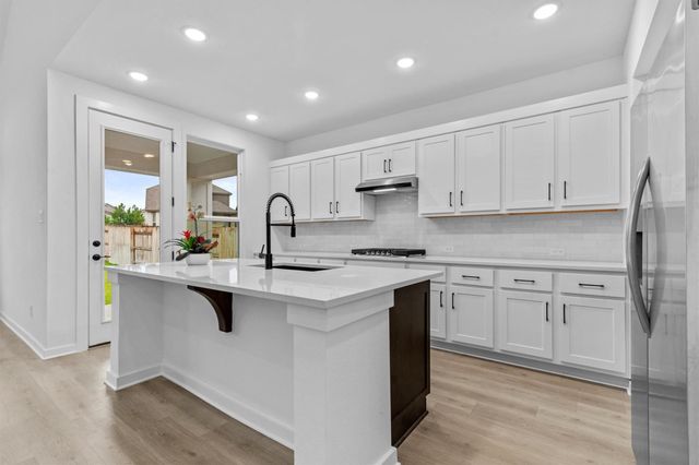 547 Billowing WAY, Kyle, TX 78640