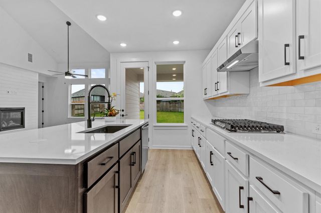 547 Billowing WAY, Kyle, TX 78640