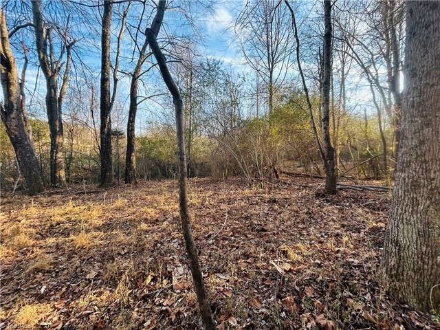 TBD Asbury Road, Mount Airy, NC 27030