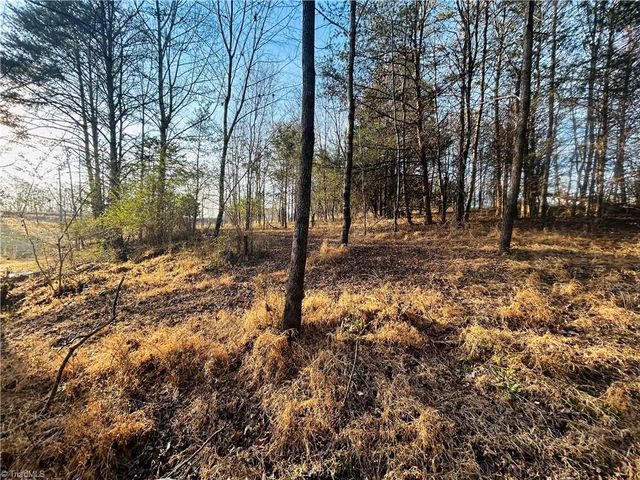 TBD Asbury Road, Mount Airy, NC 27030