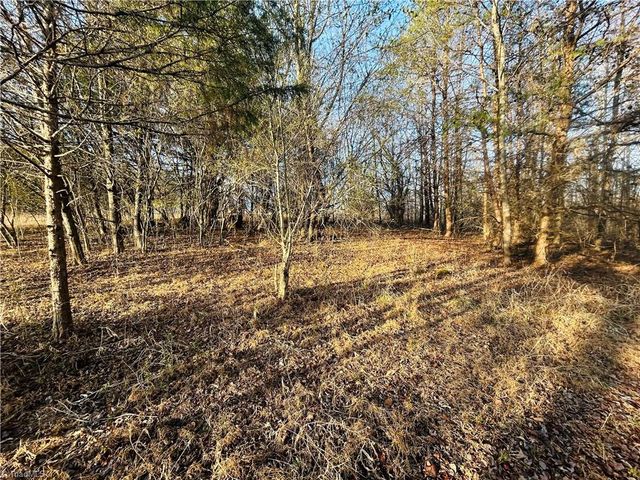 TBD Asbury Road, Mount Airy, NC 27030