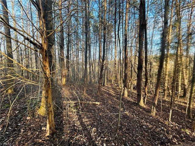 TBD Asbury Road, Mount Airy, NC 27030