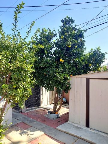 1606 Penn Mar Ave, South El Monte, CA 91733