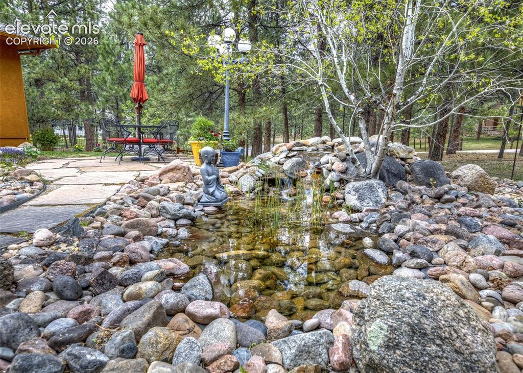 19670 Blue Clover Lane, Monument, CO 80132 — photo 5