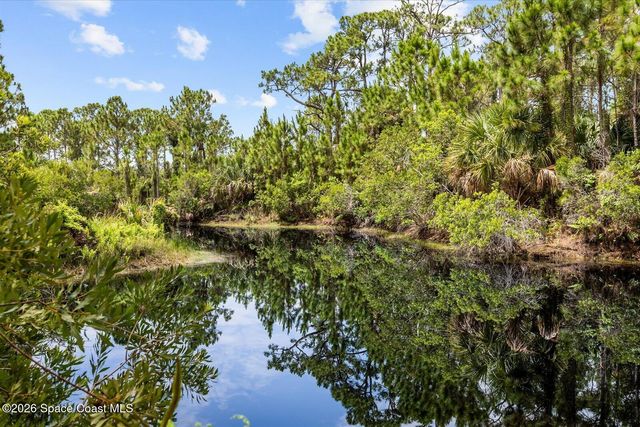 4691 Mooney Lane, Grant, FL 32949