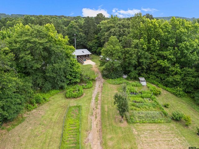 23515 Pinnacle Dr., Overton, TX 75684