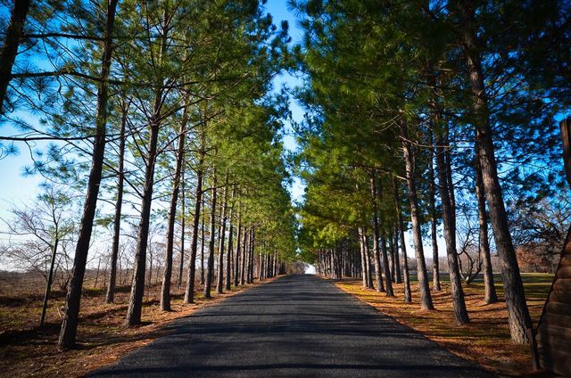 Lot 133 Lincoln Drive, Streetman, TX 75859