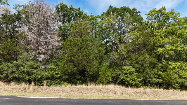 Lot 133 Lincoln Drive, Streetman, TX 75859
