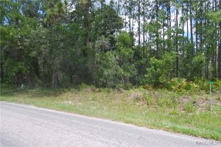 7 Sweetgum Court N, Homosassa, FL 34446